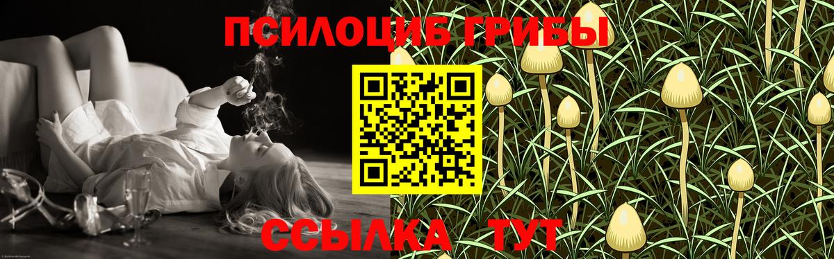 Белгород  Галлюциногенные грибы MAGIC MUSHROOMS  Вход с VPN 